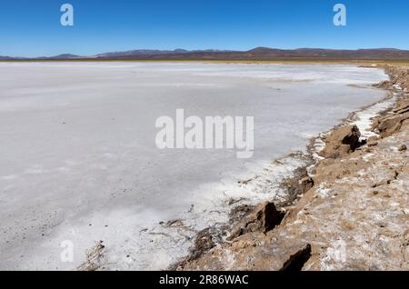 Erkunden Sie die riesigen Salzebenen von Salinas Grandes de Jujuy im Norden Argentiniens auf Ihrer Reise nach Südamerika Stockfoto