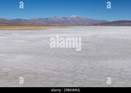 Erkunden Sie die riesigen Salzebenen von Salinas Grandes de Jujuy im Norden Argentiniens auf Ihrer Reise nach Südamerika Stockfoto