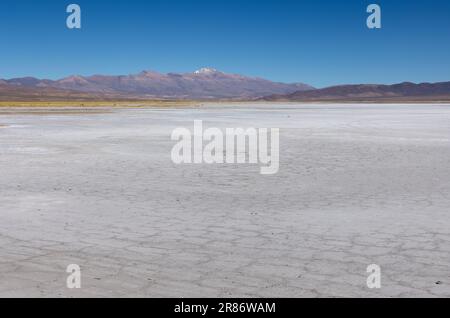 Erkunden Sie die riesigen Salzebenen von Salinas Grandes de Jujuy im Norden Argentiniens auf Ihrer Reise nach Südamerika Stockfoto