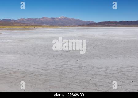 Erkunden Sie die riesigen Salzebenen von Salinas Grandes de Jujuy im Norden Argentiniens auf Ihrer Reise nach Südamerika Stockfoto