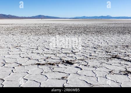 Erkunden Sie die riesigen Salzebenen von Salinas Grandes de Jujuy im Norden Argentiniens auf Ihrer Reise nach Südamerika Stockfoto