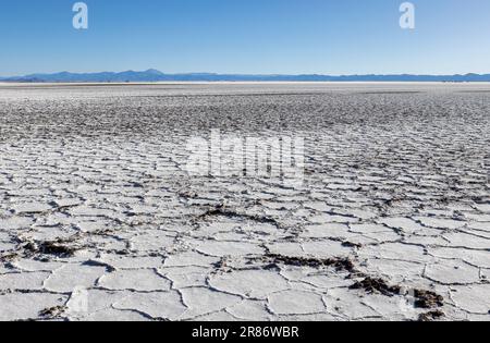 Erkunden Sie die riesigen Salzebenen von Salinas Grandes de Jujuy im Norden Argentiniens auf Ihrer Reise nach Südamerika Stockfoto