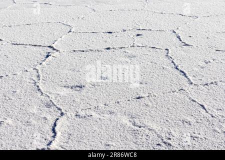 Erkunden Sie die riesigen Salzebenen Salinas Grandes de Jujuy im Norden Argentiniens auf Ihrer Reise nach Südamerika – aus nächster Nähe der Oberfläche Stockfoto