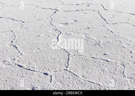 Erkunden Sie die riesigen Salzebenen Salinas Grandes de Jujuy im Norden Argentiniens auf Ihrer Reise nach Südamerika – aus nächster Nähe der Oberfläche Stockfoto