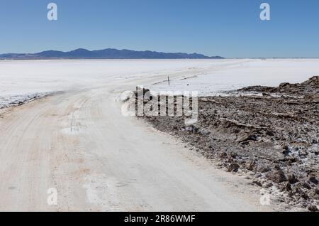 Erkunden Sie die riesigen Salzebenen von Salinas Grandes de Jujuy im Norden Argentiniens auf Ihrer Reise nach Südamerika Stockfoto