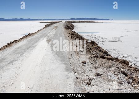 Erkunden Sie die riesigen Salzebenen von Salinas Grandes de Jujuy im Norden Argentiniens auf Ihrer Reise nach Südamerika Stockfoto