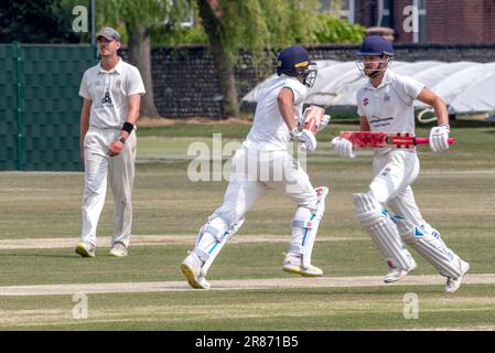 Bognor gegen Eastbourne Sussex Cricket League Stockfoto