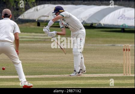 Bognor gegen Eastbourne Sussex Cricket League Stockfoto