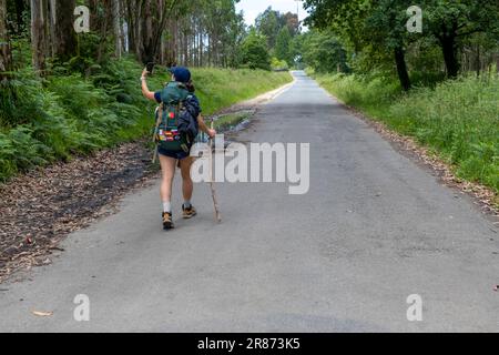 Eine junge Pilgerin, die ein Selfie auf dem Weg des heiligen james macht. Camino de Santiago Stockfoto