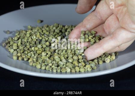 Bild von grünem Pfefferkorn, oder grünem schwarzen Pfefferkorn, von Piper Nigrum, gestapelt in einem Makroshot. Grüner Pfeffer, wie schwarzer Pfeffer, wird fr hergestellt Stockfoto