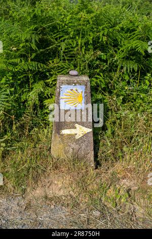 Wegweiser des Saint James. Der Waldweg auf dem Camino de Santiago markiert Muscheln für Pilger zur Kathedrale von Santiago de Compostela Stockfoto