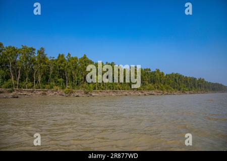 Küstenmangrovenwälder in Dhal Chhar. Dhal Char ist eine der zahlreichen Inseln im Delta des Meghna-Flusses im größeren Ganges-Delta. Bho Stockfoto