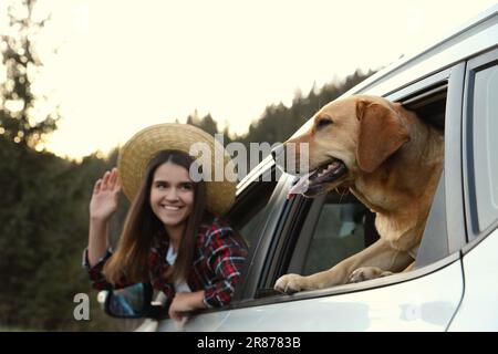 Süßer Hund und glückliche Frau, die aus dem Autofenster in den Bergen blickten. Reisen mit Haustier Stockfoto