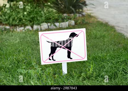 Schild „Keine Hunde erlaubt“ auf grünem Gras im Freien Stockfoto