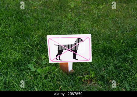 Schild „Keine Hunde erlaubt“ auf grünem Gras im Freien Stockfoto