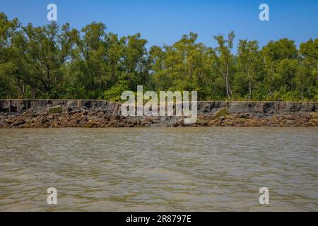 Küstenmangrovenwälder in Dhal Chhar. Dhal Char ist eine der zahlreichen Inseln im Delta des Meghna-Flusses im größeren Ganges-Delta. Bho Stockfoto