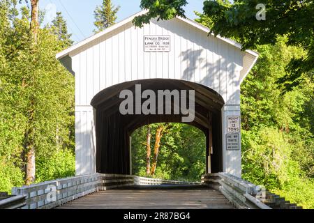 Fall Creek, OR, USA - 14. Juni 2023; Blick durch den Straßenabschnitt der Pengra Covered Bridge in Oregon Stockfoto