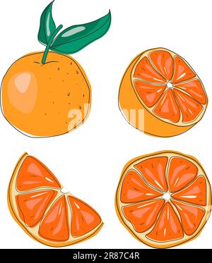 Orangen, Früchte und Blätter. Abbildung eines flachen Vektors. Stock Vektor