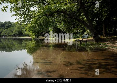 Washington, Usa. 19. Juni 2023. Eine Bank befindet sich im Wasser, während die Flut den Bürgersteig und die Bäume im Tidal Basin überflutet. Im Jahr 2005 waren Überschwemmungen an der Küste ein seltenes Ereignis im Becken, aber der Klimawandel verursacht nun tägliche Überschwemmungen, die eine erhebliche Bedrohung für die berühmten Kirschbäume und andere Lebensformen darstellen. (Foto: Allison Bailey/NurPhoto) Guthaben: NurPhoto SRL/Alamy Live News Stockfoto