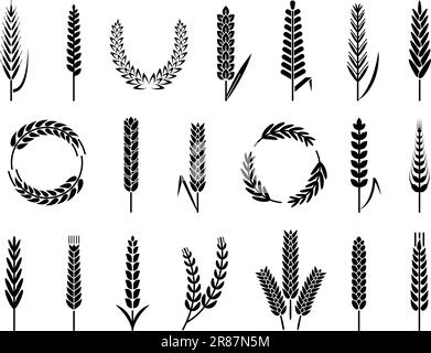 Biologisch angebaute Weizengerstenohren, Symbole für die Ernte von Bäckereien. Isolierte Agrarelemente. Hafer oder Malz für Bier und Brot. Anständige Vektorsilhouetten Stock Vektor