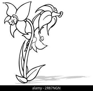 Zeichnung von drei Blüten von Narzissen Stock Vektor