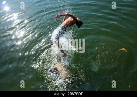 Srinagar Kaschmir, Indien. 19. Juni 2023. Ein Mann kühlt sich an einem heißen Sommertag in Srinagar im Wasser des Dal Lake ab. Am 19. Juni wurde in Srinagar eine Tagestemperatur von 31 Grad Celsius festgestellt, da die meteorologische Abteilung in den nächsten Tagen ein heißes und feuchtes Wetter in Kaschmir vorhersagt. Am 19. Juni 2023 in Srinagar Kaschmir, Indien. (Kreditbild: © Firdous Nazir/Eyepix via ZUMA Press Wire) NUR REDAKTIONELLE VERWENDUNG! Nicht für den kommerziellen GEBRAUCH! Stockfoto