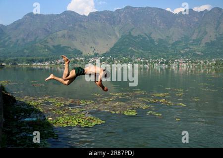 Srinagar Kaschmir, Indien. 19. Juni 2023. Ein Junge springt in die Gewässer des Dal Lake, um sich an einem heißen Tag in Srinagar abzukühlen. Am 19. Juni wurde in Srinagar eine Tagestemperatur von 31 Grad Celsius festgestellt, da die meteorologische Abteilung in den nächsten Tagen ein heißes und feuchtes Wetter in Kaschmir vorhersagt. Am 19. Juni 2023 in Srinagar Kaschmir, Indien. (Kreditbild: © Firdous Nazir/Eyepix via ZUMA Press Wire) NUR REDAKTIONELLE VERWENDUNG! Nicht für den kommerziellen GEBRAUCH! Stockfoto