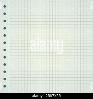 Blatt „Graphen Notizbuch“. Kariertes Notizblatt Stock Vektor