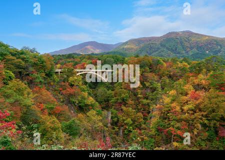 Die Ofukazawa-Brücke erstreckt sich über die Naruko-Schlucht vom Narukokyo Resthouse im Herbst in Tohoku, Miyagi, Japan Stockfoto