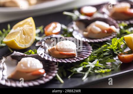 Muscheln aus Saint Jacob, die in einem italienischen Restaurant hergestellt werden, serviert auf einem Teller und Muscheln der Jakobsmuscheln. Stockfoto