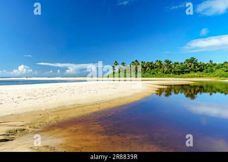 Wo der Fluss mit Kokospalmen im Hintergrund auf das Meer trifft, am Sargi Beach in Serra Grande an der Küste von Bahia Stockfoto