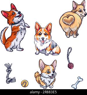 Süße Corgi-Hunde und Hundefreunde. Auf einem weißen, isolierten Hintergrund. Hunde in verschiedenen Posen Stock Vektor