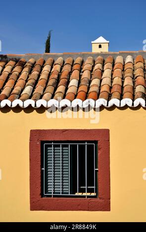 Madeira, Portugal, Funchal, verschließtes Fenster, Ziegeldach, Hausfassade, Hausschornstein Stockfoto