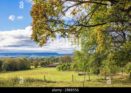 Blick auf eine wunderschöne Landschaft mit Herbstfarben auf den Bäumen, Schweden Stockfoto