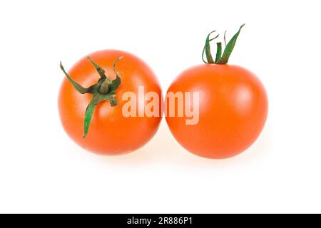 Zwei reife rote Tomaten, isoliert auf weißem Hintergrund Stockfoto