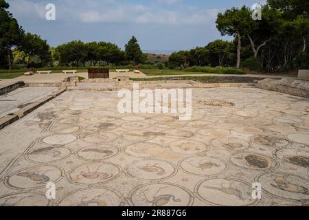 Caesarea, Israel - 4. August 2022: Der antike Mosaikboden des Herrenhauses „Birds Mosaic“ mit Blick auf das mittelmeer in Caesarea, Israel. Stockfoto