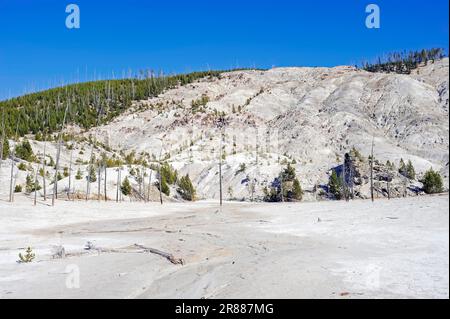 Roaring Mountain, Yellowstone-Nationalpark, Wyoming, USA, Thermalbereich Stockfoto