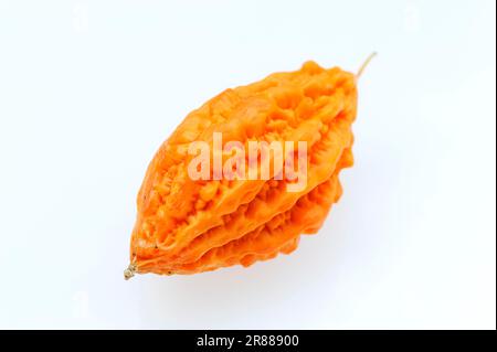 Bittermelone (Momordica charantia), Balsamapfel, Balsambirne Stockfoto