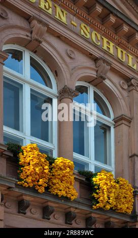 Schulhausfassade, Chysanthemen am Fenster, Gärten, Chrysanthema in Lahr
