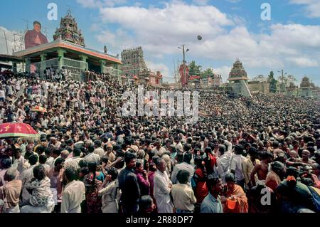 Bewässerung von Brahmma theertham (Sakrawasser) während des Mahamakham Festivals in Kumbakonam, Tamil Nadu, Indien, Asien Stockfoto