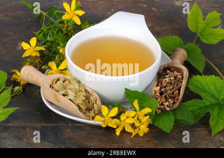 Kräutertee mit St. Johanniskraut, Baldrianwurzel, Hopfen und Zitronenbalsam Stockfoto