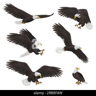 Adler. Die Freiheitssymbole der Raubvögel sind anständige, realistische fliegende Adler Stock Vektor