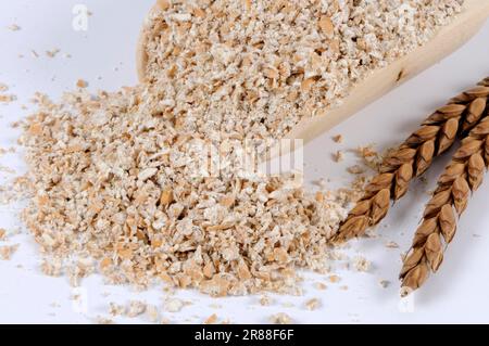 Dinkel-Weizenflocken (Triticum spelta) Dinkel-Weizenflocken Stockfoto