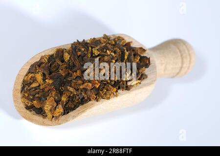 Gedünstet (Radix (Gastropod) ) Rhubarb-Wurzel und Rhizoma (Rehum palmatum) (Rheum tanguticum) (Rheum officinale), gedünstete Rhubarb-Wurzel, Zhi Da Huang Stockfoto