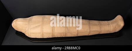 Antike ägyptische Mumie Stockfoto