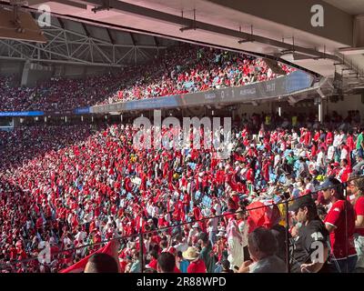 Wakra, Katar - 14. Dezember 2022: Wunderschönes Janoub-Stadion, modernes Fußballstadion für die FIFA-Weltmeisterschaft 2022 Stockfoto