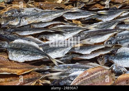 Nazare in Portugal, gesalzene Fische werden am Strand verkauft, traditioneller Marktstand Stockfoto