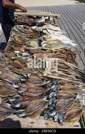 Nazare in Portugal, gesalzene Fische werden am Strand verkauft, traditioneller Marktstand Stockfoto