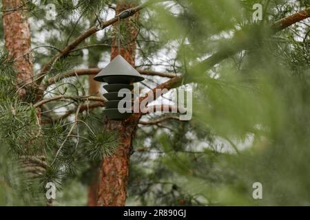 Grüner, moderner Vogelfutter auf Kiefern. Naturkonzept. Modernes Außenkonzept. Stockfoto