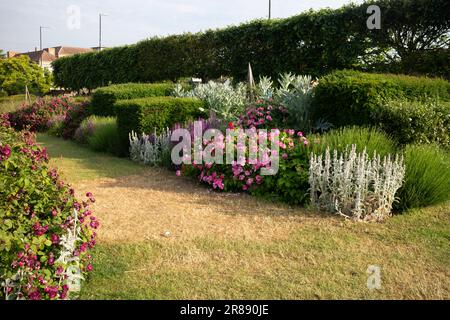 Krautige Grenzen, Bancroft Gardens, Stratford-upon-Avon, Warwickshire, England, UK Stockfoto